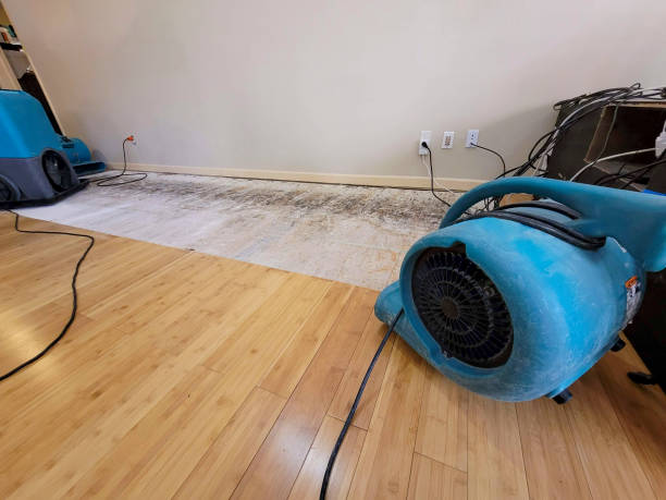 Reliable Basement Flood Cleanup contractor in Hope, ME by Hirex Water Damage