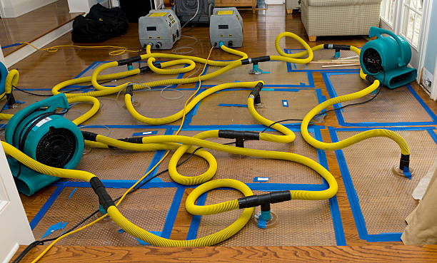 Professional Basement Flood Cleanup technician working in Hope, ME